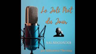 Le joli Mot du Jour  Salmigondis [upl. by Morganica820]