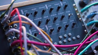 Meet Mavis A Moog SemiModular Analog Synthesizer [upl. by Tivad]