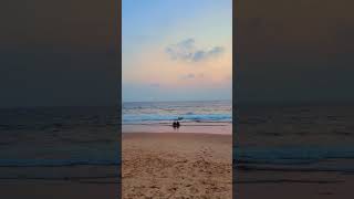 Goa beaches  Calangute beach goa calangutebeach [upl. by Ahtan]