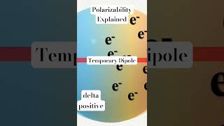 Polarizability Explained [upl. by Gnim]