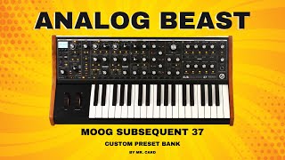 Moog Subsequent 37  Analog Beast SOUNDSET • Custom Presets [upl. by Efren425]