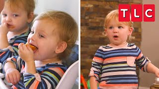 Quint Chaos Top Moments  OutDaughtered  TLC [upl. by Ynnavoj]