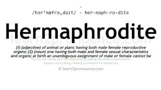 Pronunciation of Hermaphrodite  Definition of Hermaphrodite [upl. by Ellehcen]