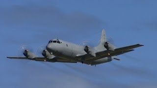 Lockheed P3 Orion  RNZAF [upl. by Yalhsa]