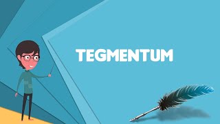 What is Tegmentum Explain Tegmentum Define Tegmentum Meaning of Tegmentum [upl. by Ecirtnom]