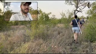 Checking Ground horn bill nests [upl. by Miah]