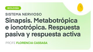 Sinapsis Metabotrópica e ionotrópica Respuesta pasiva y activa  V8  Egg Educación [upl. by Brew]