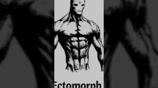 Perfected “ECTOMORPH” build [upl. by Adnuhsal]