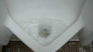 American Standard urinal at exxon harrisonburg [upl. by Grekin]