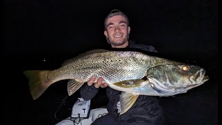 Catching Jewfish on the Hawkesbury River  Insane Action [upl. by Enajiram569]