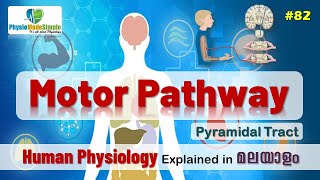 Ep82  Pyramidal Tract  Malayalam [upl. by Tamarah]