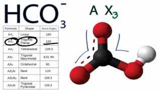 HCO3 Molecular Geometry  Shape and Bond Angles [upl. by Leroj]