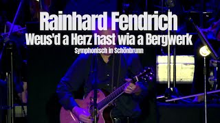 Rainhard Fendrich quotWeusd a Herz hast wia a Bergwerkquot Symphonisch in Schönbrunn [upl. by Imrots]