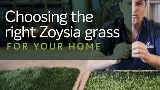 Choosing the right Zoysia Grass for your Home [upl. by Arahd265]