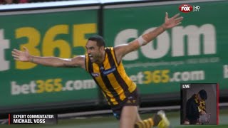 AFL 2013 1st Preliminary Final  Hawthorn highlights vs Geelong [upl. by Einaled223]