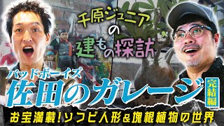 バッドボーイズ佐田の「ソフビ」と「塊根植物」の世界【ジュニアの建もの探訪】 [upl. by Yneffit]