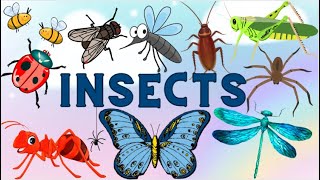 Insects Learn Insects names in English for Kids Ant Honeybee Fly Mosquito Butterfly Grasshopper [upl. by Xantha]