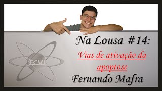 Na lousa 14 via de ativação da apoptose [upl. by Olivann]