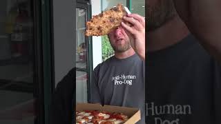 Dave Portnoy Cannot Believe This Pizza Was Only 10 [upl. by Merrow]