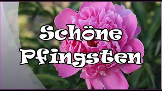 Schöne Pfingsten 🌸 [upl. by Anomar]