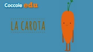 La Carota di Coccole Sonore Edu [upl. by Arted]