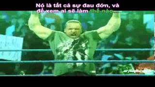 Vietsub Triple H Theme Song  WWE [upl. by Eseilanna]