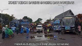 JOGET HEBOH BARENG TELOLET BASURI BUS SAMBIRU DAN PANGERAN DI PARKIRAN CELOSIA BANDUNGAN SEMARANG [upl. by Labors722]