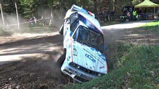 17 NAVC FürstCarl Rallye 2019  CRASHS amp MISTAKES [upl. by Akenat]