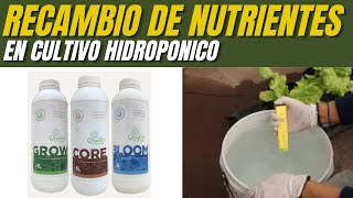 Soluciones Nutritivas Para Cultivo en HIDROPONIA [upl. by Pollerd]