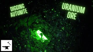 Uranium Autunite  UV Black Lights At The Old Uranium Mine [upl. by Ellenahc751]