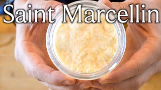 Making Saint Marcellin – A Cheese With a Fondue Like Interior [upl. by Aener]