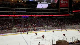 Arizona Coyotes Goal [upl. by Fiedler745]