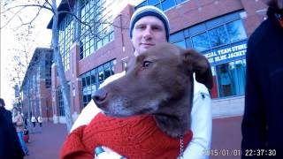 Columbus Hot Chocolate 5k15k  Vlog  November 2015 [upl. by Rex]