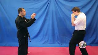 Kempo Karate  Combination 6 [upl. by Eimaraj]