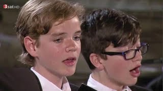 BACH Cantata BWV 172  Elias MÄDLER amp Lionel WUNSCH  Duet quotKomm laß mich nicht länger wartenquot [upl. by Adnamma815]