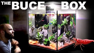 The Buce Box ALL IN ONE Shrimp Cube Aquarium [upl. by Erdei]