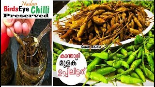 ഇനി കാന്താരി മുളക് പാഴാകില്ല Salted Birds Eye Chilli  Preserved കാന്താരിമുളക് ഉപ്പിലിട്ടത് [upl. by Lehplar]