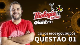 PROCESSOS ENVOLVIDOS NO CICLO DO CARBONO  QUESTÃO 1 [upl. by Ybroc]