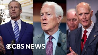 Republicans to vote on Senate leader with Thune Cornyn and Scott the frontrunners [upl. by Mackoff]