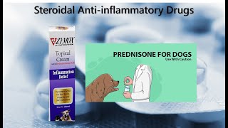 9 Steroidal Anti inflammatory Drugs [upl. by Hgeilhsa131]