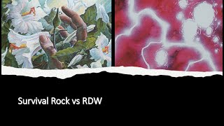 Premodern League  Survival Rock vs RDW  72924 [upl. by Eivi]