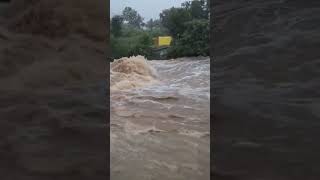 Vellore uthira kaveri river vc M krishnan 1122024 [upl. by Gnohc]