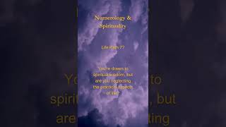 Life Path 7 Are You a Spiritual Seeker [upl. by Nnyletak]