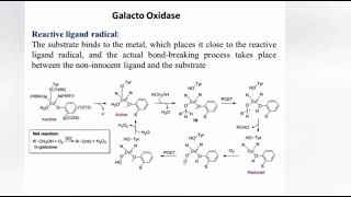 Galacto Oxidase [upl. by Ztnahc]