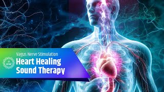 Heal Heart Sound Therapy for Repair amp Treatment  Vagus Nerve Stimulation Music for Heart Wellness [upl. by Gaspard]