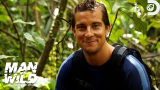 Bear Grylls Secrets for Surviving in the Temperate Zone  Man Vs Wild  Discovery [upl. by Jecoa]