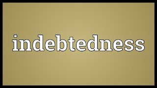 Indebtedness Meaning [upl. by Ahsekad]