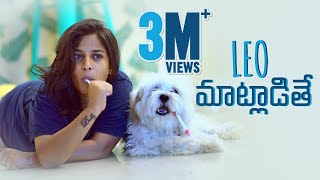 Leo Maatladithe  If Pets Could Talk  Mahathalli  Tamada Media [upl. by Azilanna85]