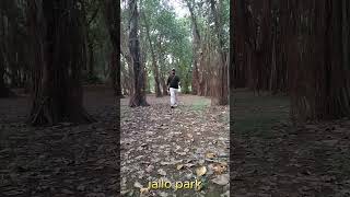 jallopark poetry shortsvideo [upl. by Marielle673]