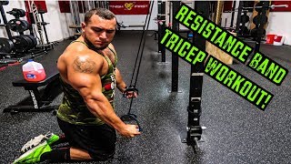 Intense 5 Minute Resistance Band Tricep Workout [upl. by O'Connell]